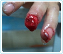 俄罗斯贵宾会·(中国)集团