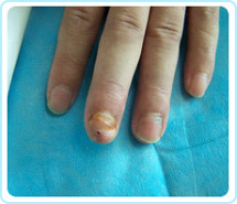 俄罗斯贵宾会·(中国)集团