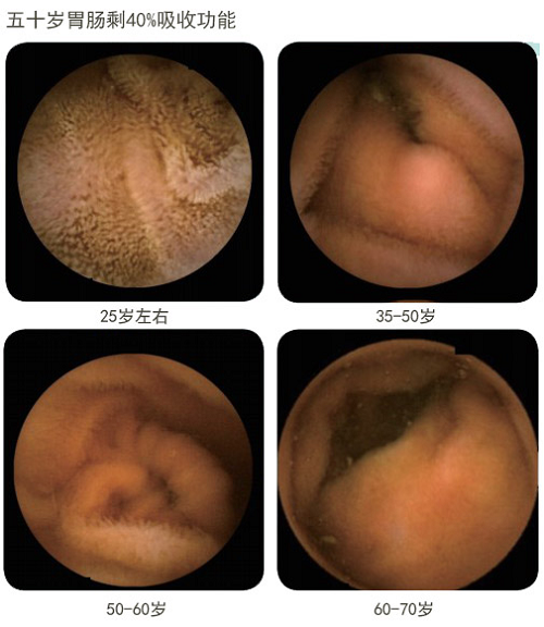 俄罗斯贵宾会·(中国)集团