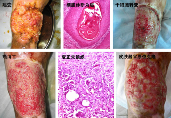 俄罗斯贵宾会·(中国)集团