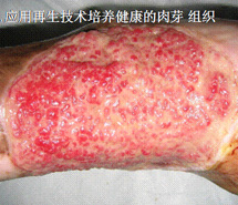 俄罗斯贵宾会·(中国)集团