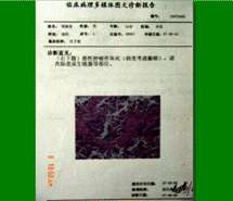 俄罗斯贵宾会·(中国)集团