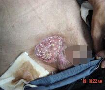 俄罗斯贵宾会·(中国)集团