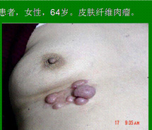 俄罗斯贵宾会·(中国)集团