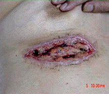 俄罗斯贵宾会·(中国)集团