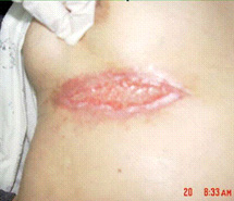 俄罗斯贵宾会·(中国)集团