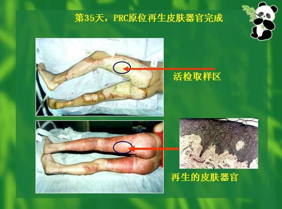 俄罗斯贵宾会·(中国)集团