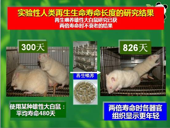 俄罗斯贵宾会·(中国)集团