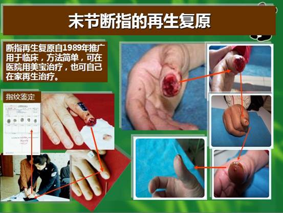 俄罗斯贵宾会·(中国)集团