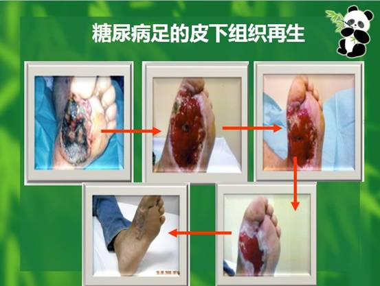 俄罗斯贵宾会·(中国)集团