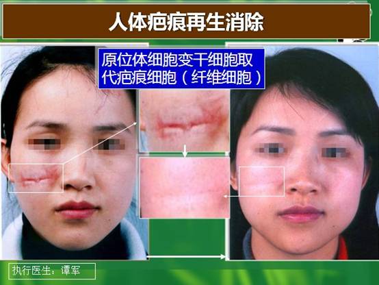 俄罗斯贵宾会·(中国)集团