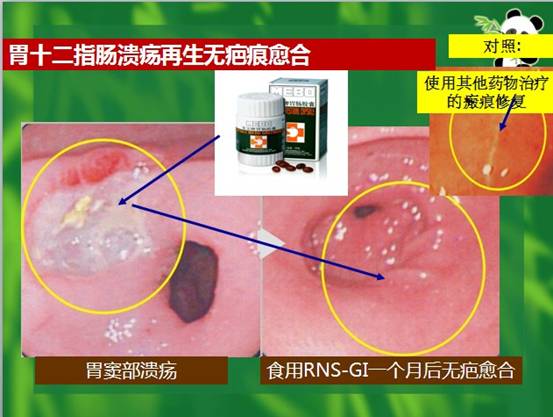 俄罗斯贵宾会·(中国)集团