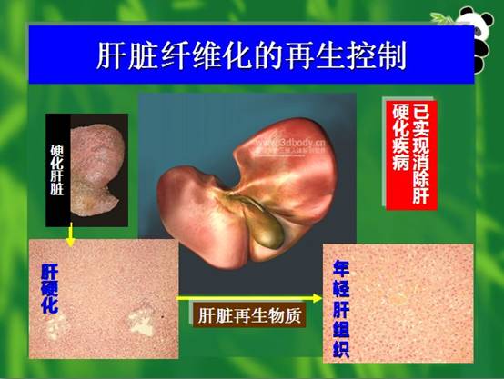 俄罗斯贵宾会·(中国)集团