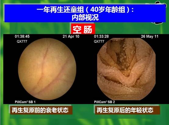 俄罗斯贵宾会·(中国)集团