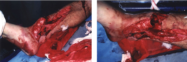 俄罗斯贵宾会·(中国)集团