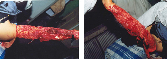 俄罗斯贵宾会·(中国)集团