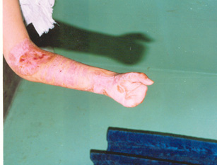 俄罗斯贵宾会·(中国)集团