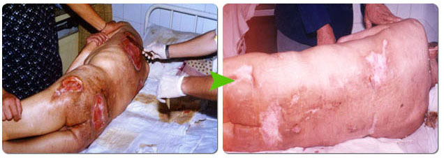 俄罗斯贵宾会·(中国)集团