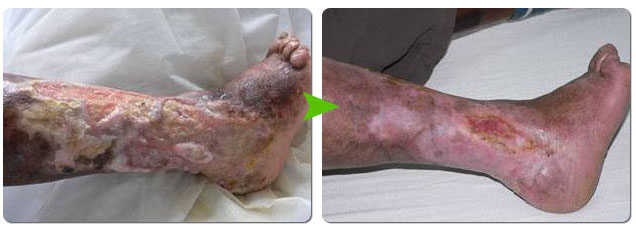 俄罗斯贵宾会·(中国)集团