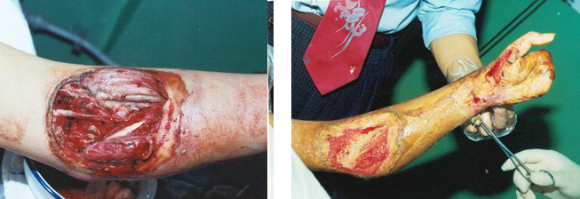 俄罗斯贵宾会·(中国)集团