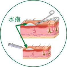 俄罗斯贵宾会·(中国)集团