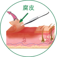俄罗斯贵宾会·(中国)集团