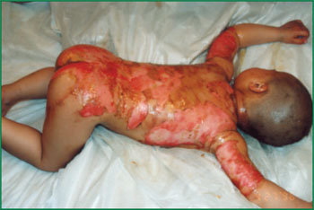 俄罗斯贵宾会·(中国)集团