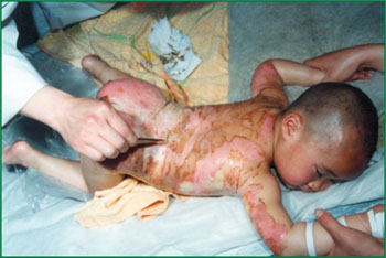 俄罗斯贵宾会·(中国)集团