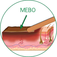俄罗斯贵宾会·(中国)集团