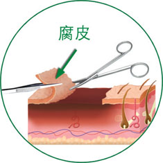 俄罗斯贵宾会·(中国)集团