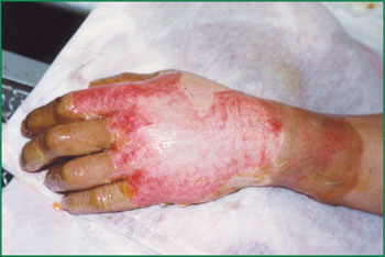 俄罗斯贵宾会·(中国)集团