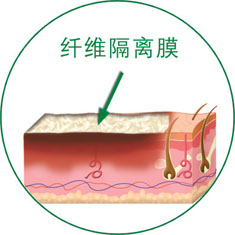 俄罗斯贵宾会·(中国)集团