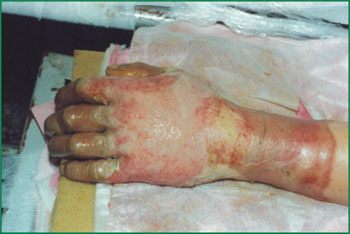 俄罗斯贵宾会·(中国)集团