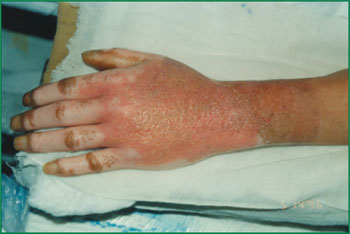 俄罗斯贵宾会·(中国)集团