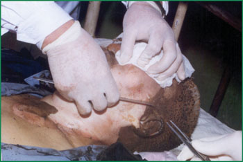 俄罗斯贵宾会·(中国)集团