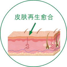 俄罗斯贵宾会·(中国)集团