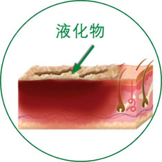 俄罗斯贵宾会·(中国)集团