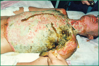 俄罗斯贵宾会·(中国)集团