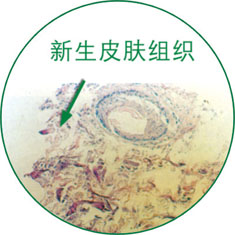 俄罗斯贵宾会·(中国)集团