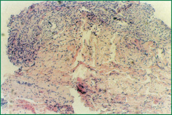 俄罗斯贵宾会·(中国)集团