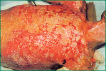 俄罗斯贵宾会·(中国)集团