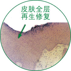 俄罗斯贵宾会·(中国)集团
