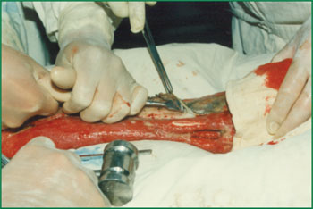 俄罗斯贵宾会·(中国)集团