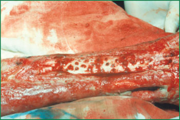 俄罗斯贵宾会·(中国)集团