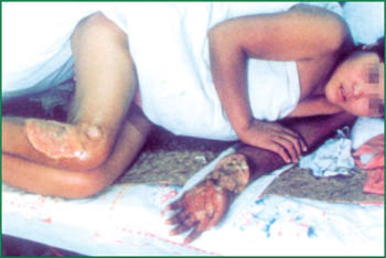 俄罗斯贵宾会·(中国)集团