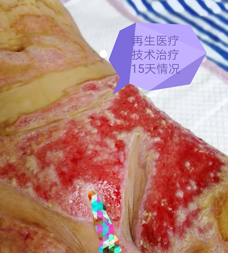 ����˹����ᡤ(�й�)����