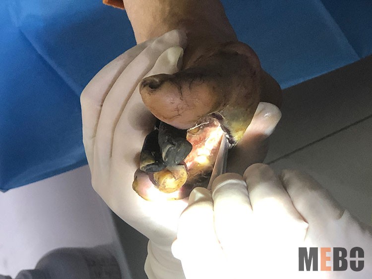 ����˹����ᡤ(�й�)����