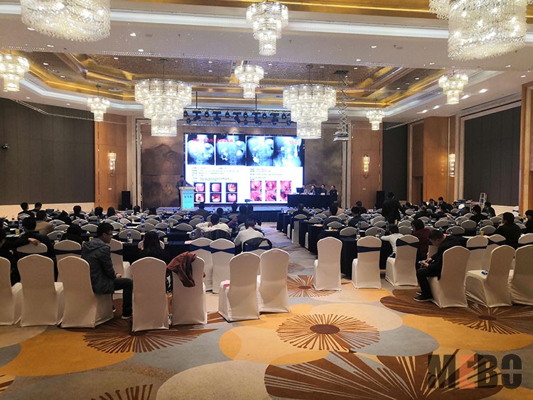 ����˹����ᡤ(�й�)����