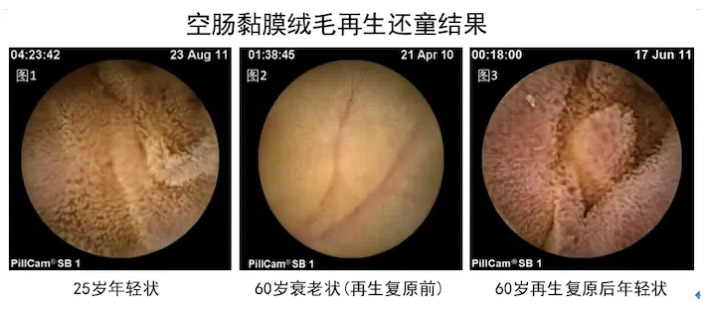 ����˹����ᡤ(�й�)����