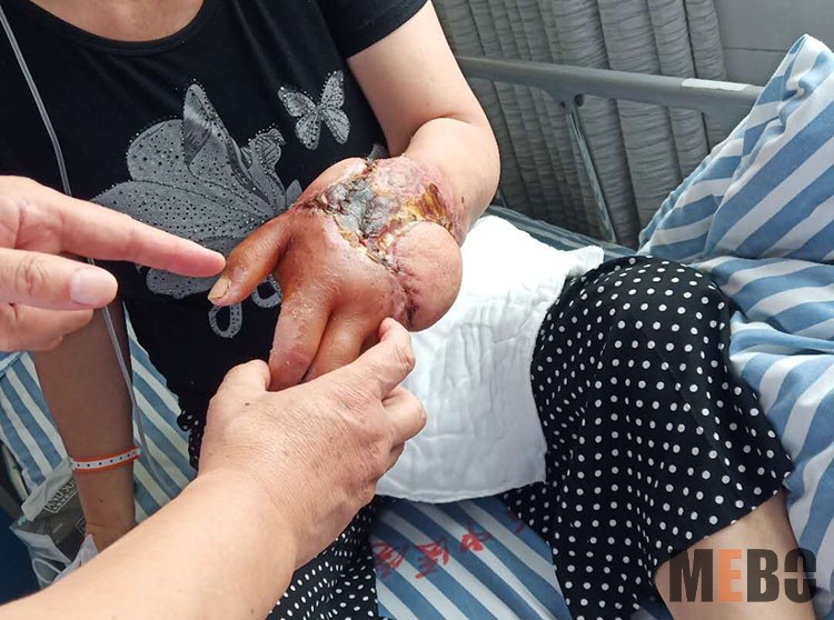 ����˹����ᡤ(�й�)����